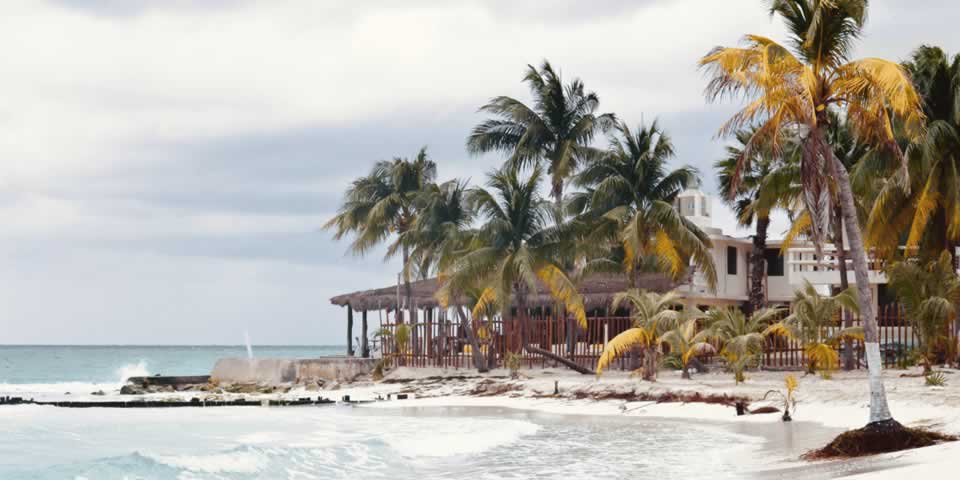 Bahia x novorizontino